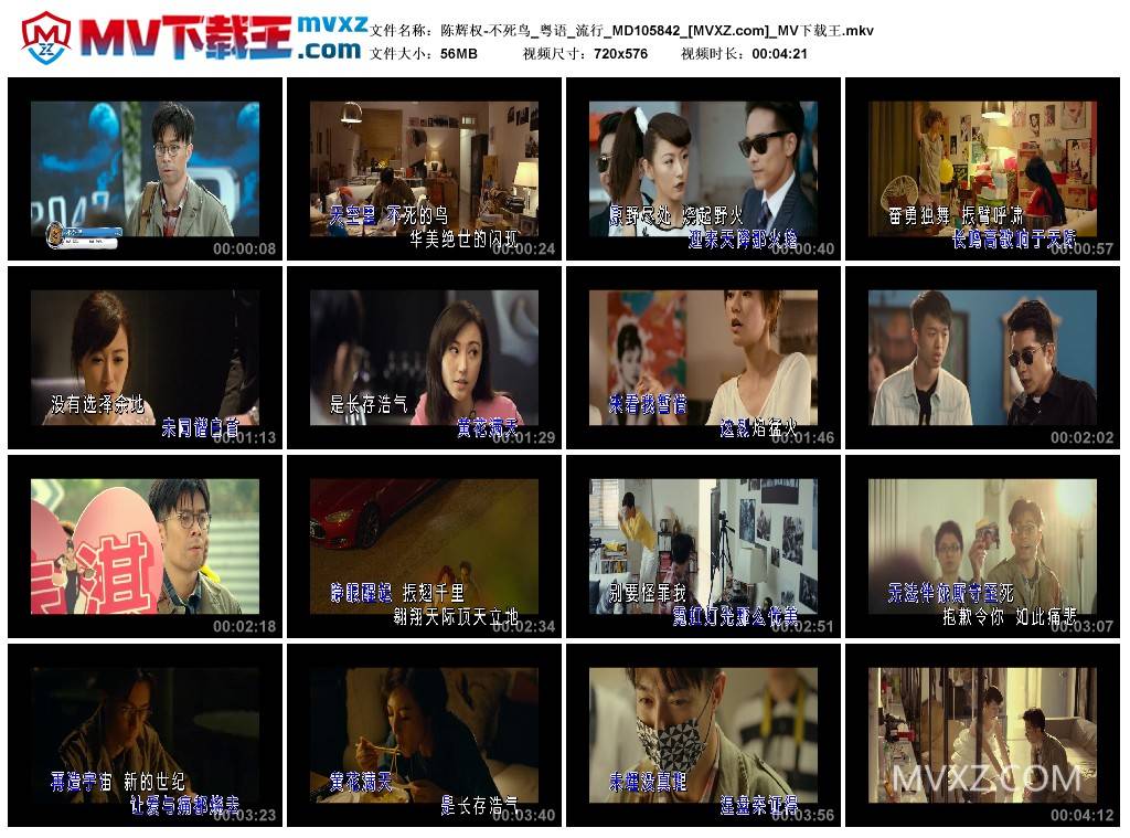 陈辉权-不死鸟_粤语_流行_MD105842